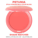 Stila Petunia Convertible Color Cream Blush Shade Matches